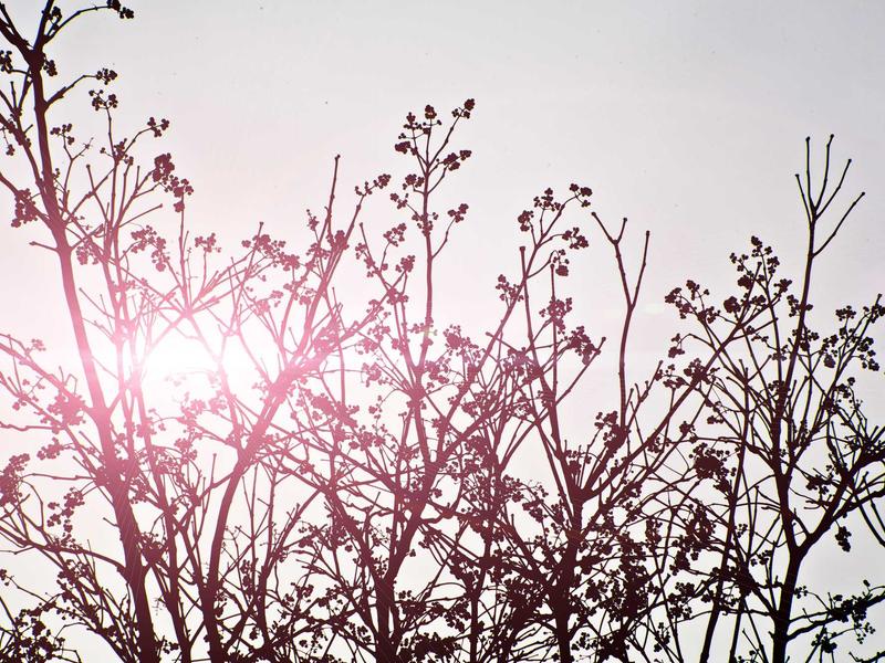 sudoku strategies screenshot 5